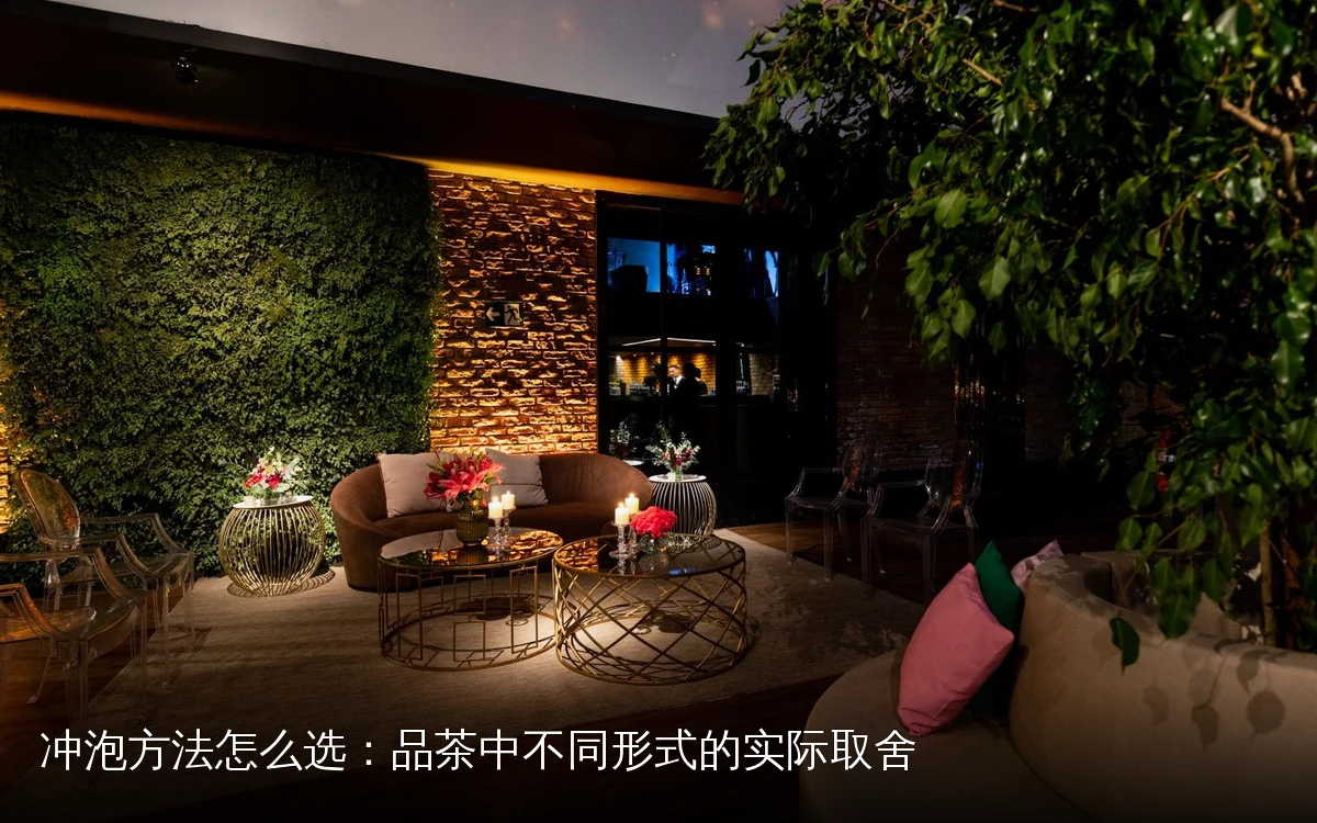 冲泡方法怎么选:品茶中不同形式的实际取舍