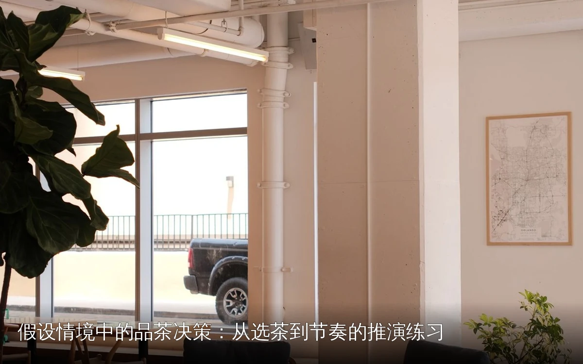 假设情境中的品茶决策:从选茶到节奏的推演练习