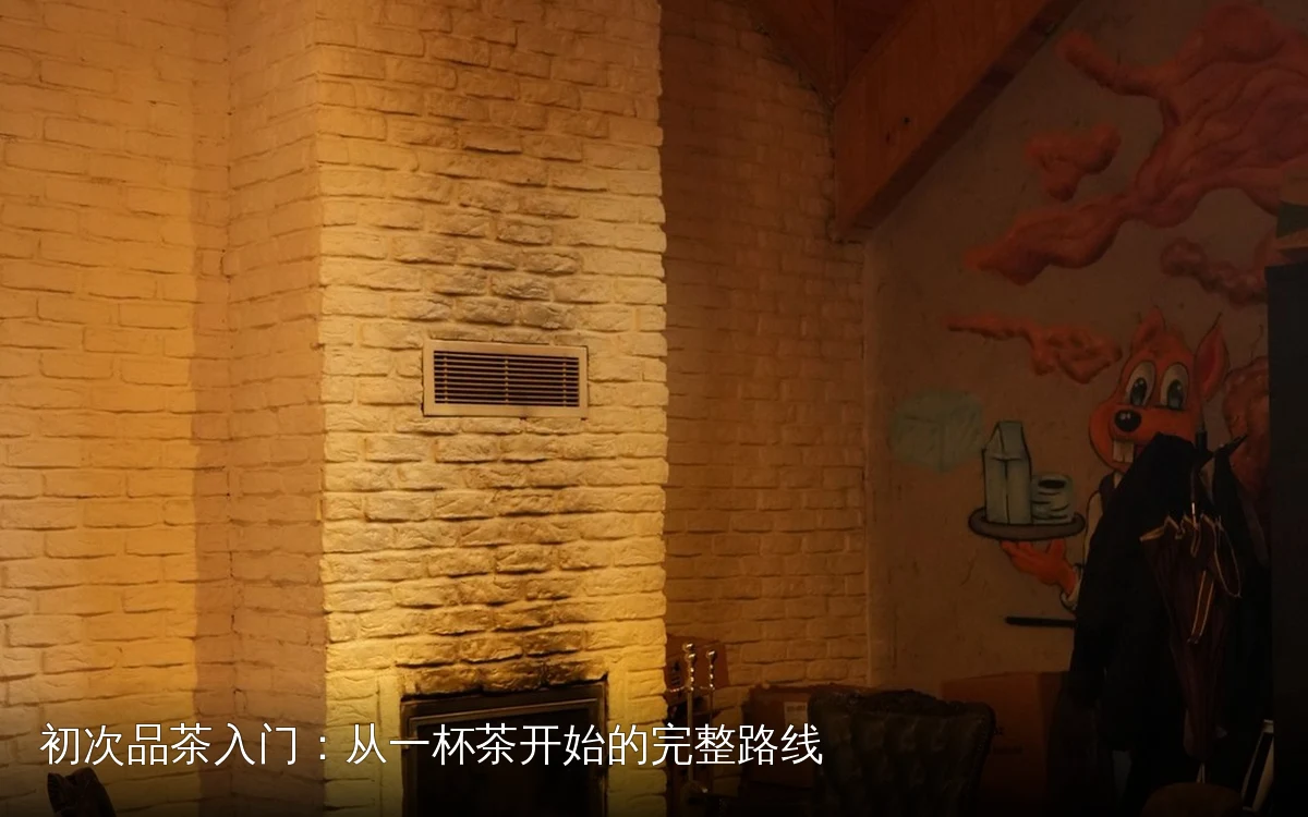 初次品茶入门:从一杯茶开始的完整路线